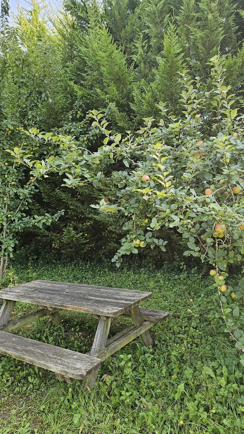 Vue romantique du Dôme de l’Aube dans un jardin de pommiers, un cadre paisible pour un séjour intime.